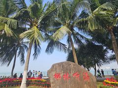 -万绿园