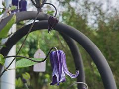 -三圣花乡旅游区