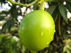 -瑰丽酒店·海吧·天际下午茶·现场DJ·天台酒吧