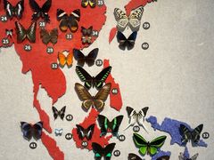 -汉堡王(北京通州领展店)