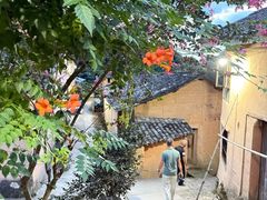 -杨家堂村