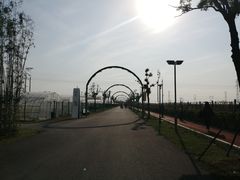-菊园百果园