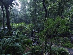 -广州兰圃