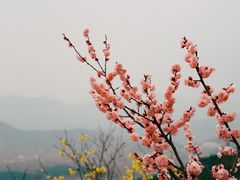 -红螺寺