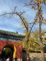 -梵茜儿·头道汤养生馆