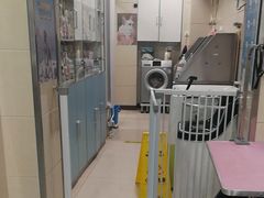 -北京观赏动物医院·24小时大型综合·猫专科·异宠专科