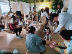 -Husky Go! 哈士奇体验馆·宠物咖啡厅狗咖