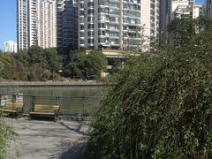 -苏州河梦清园环保主题公园