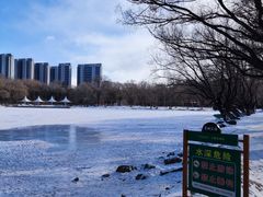 -青城公园