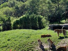 -沈阳森林动物园