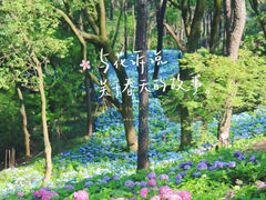 -临平公园(临平街道)