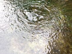 -泉乐坊步行街(烟酒特产平价超市店)