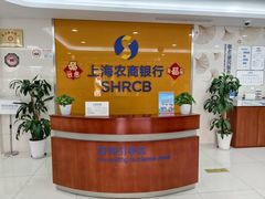 -上海农商银行(南翔支行)