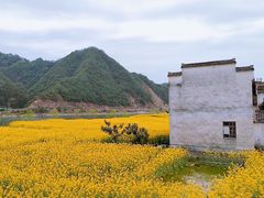 -新安江山水画廊风景区