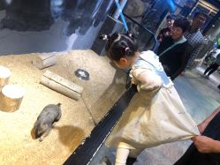 -酷嗒动物文化乐园(cutezoo西溪乐天城店)