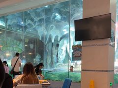 -帝企鹅自助餐厅•儿童岛•真企鹅(长隆企鹅酒店)