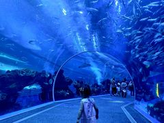 -成都浩海立方海洋公园