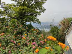-梧桐山风景名胜区