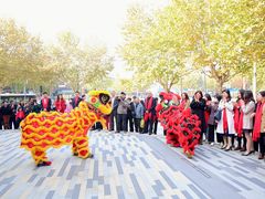 -招商银行(上海三林支行)