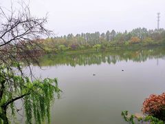 -上海怡沁园度假酒店