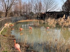 -上方山森林动物世界