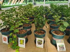 -中国天府农业博览园