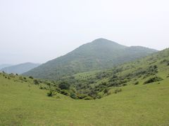 -大姆山草场