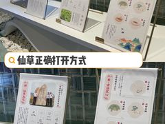 -悸动(吴泾宝龙广场店)