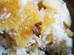 洋芋饭-郑件洋芋饭庄