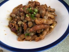 -食家鸽园