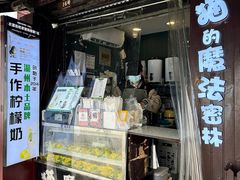-猫的魔法密林(衣裳街店)