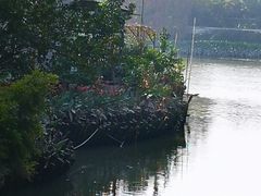 -黄埔古港