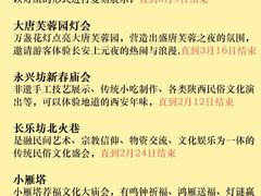 -大雁塔北广场音乐喷泉