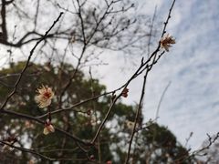 -无锡梅园公园