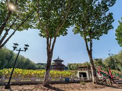 -大明幻境第一城