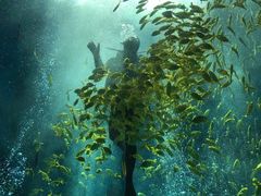 -波塞冬旅游度假区