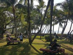 -槟城街头艺术街区