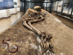 -丹麦国家博物馆