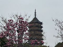 -北寺塔