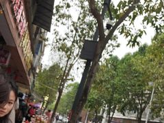 -鼎香皇高佬苏裹蒸粽