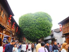 -三坊七巷历史文化街区