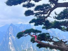 -华山风景名胜区