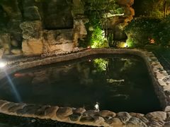 -深业半汤御泉庄温泉