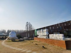 -黄海国家森林公园