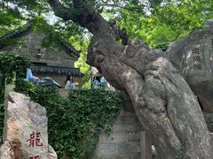 -青岛崂山太清宫