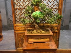 -不倒翁·徽天下名菜楼(马鞍山路店)
