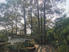 -南山植物园