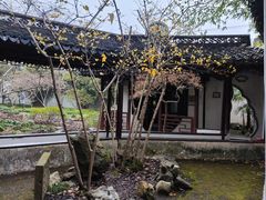 -上海醉白池公园