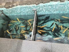 -京北渔家傲