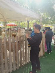 -萌宠亲子动物乐园(槐房万达店)